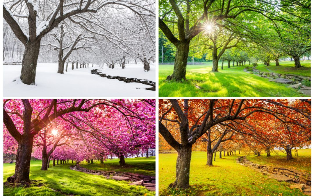 Why Seasonal Franchises Are Appealing For 5 Reasons